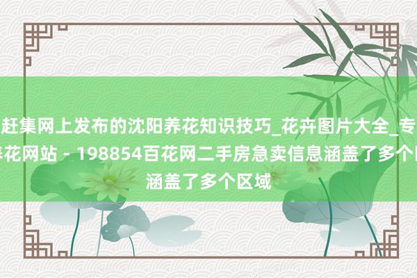 赶集网上发布的沈阳养花知识技巧_花卉图片大全_专业养花网站 - 198854百花网二手房急卖信息涵盖了多个区域